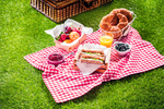 picnic 185031503